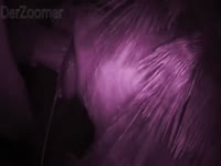 Horse creampie a sexy bitch